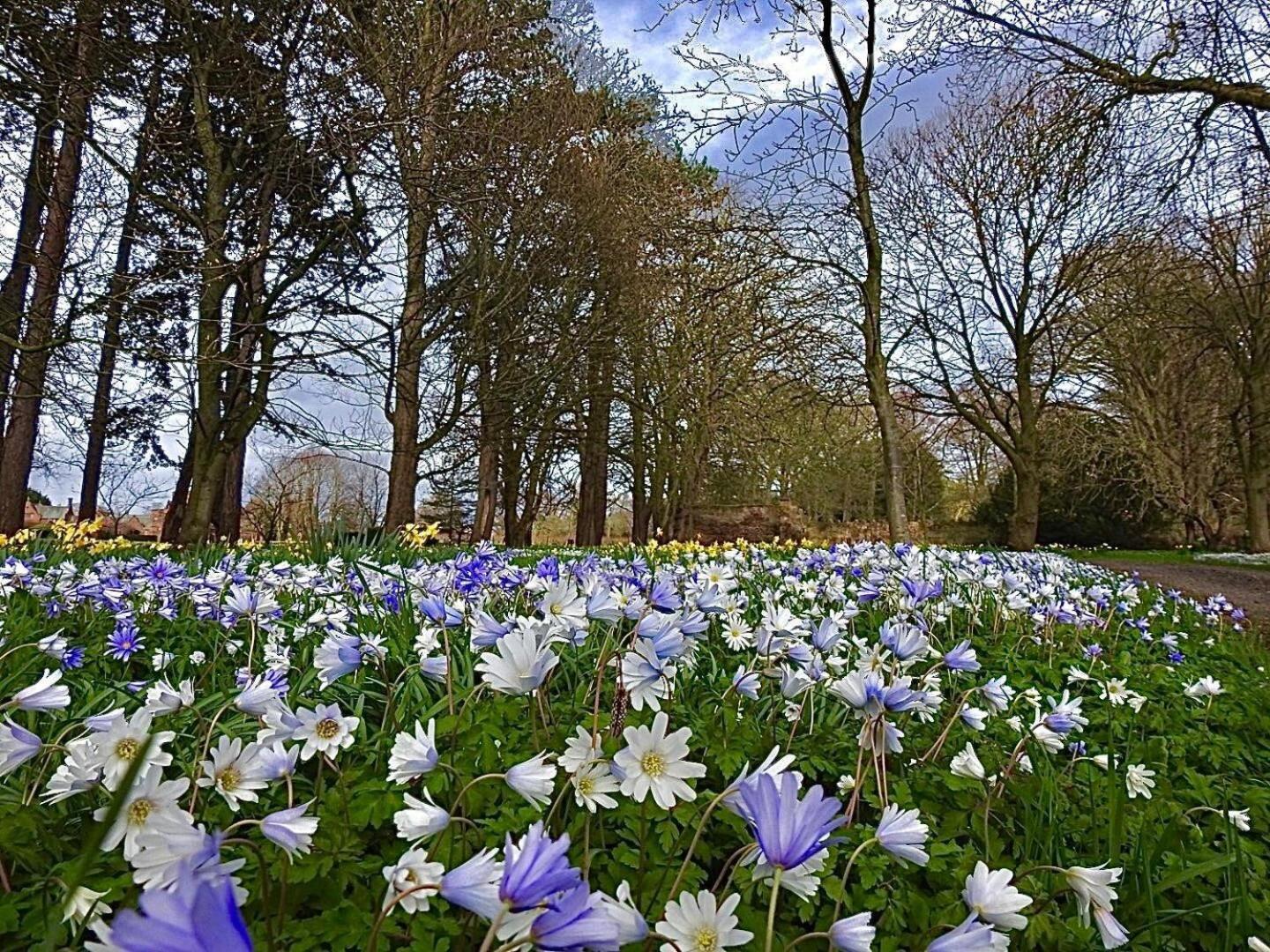 Thornton Manor - Holiday Cottages And Apartments Heswall Værelse billede