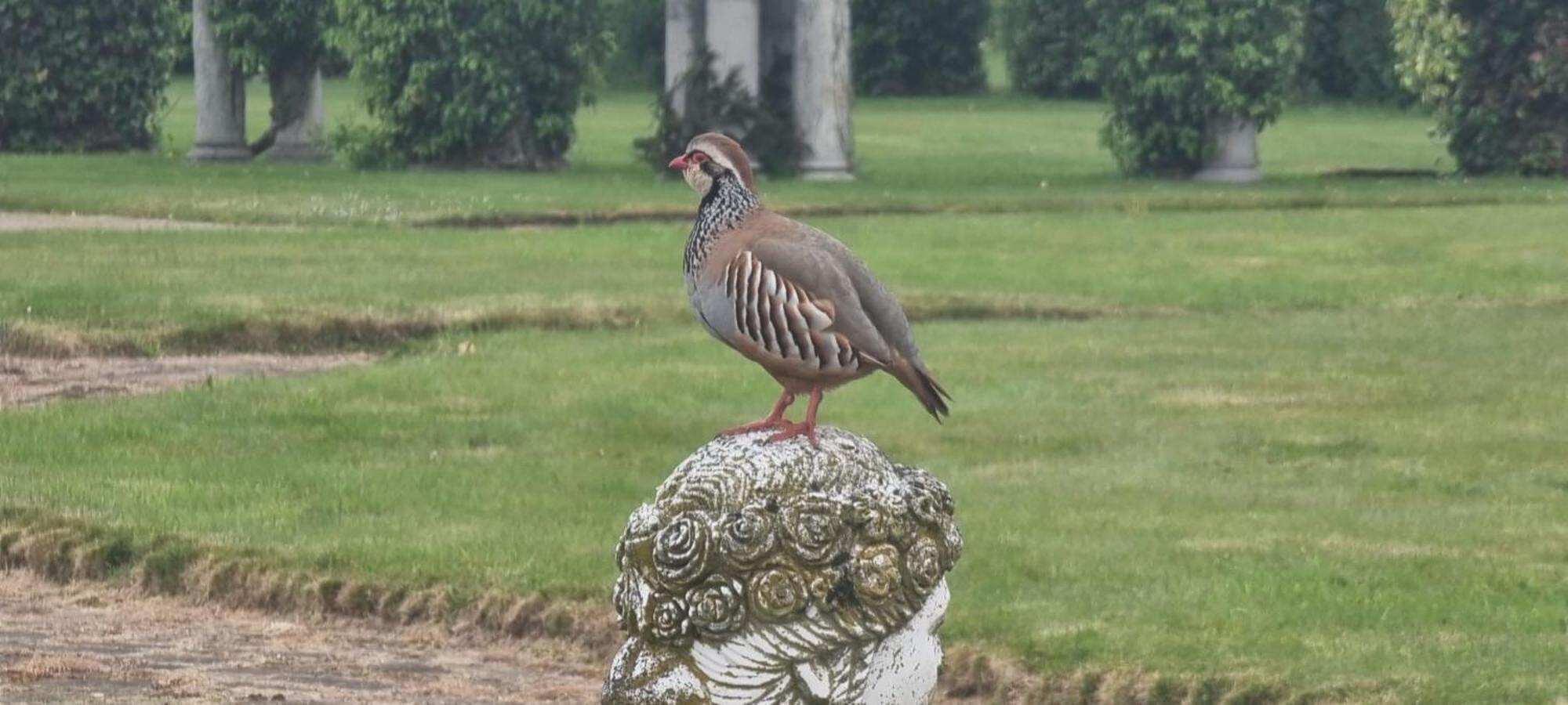 Thornton Manor - Holiday Cottages And Apartments Heswall Værelse billede